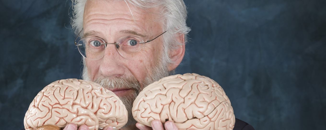 Erik Scherder houdt twee modellen van hersens vast 