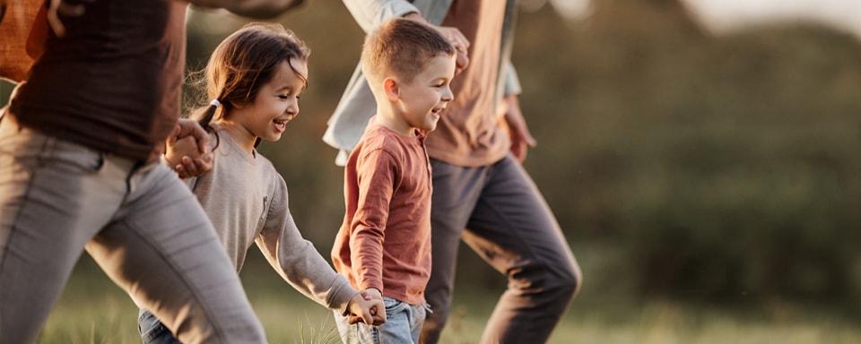 Gezin rent hand in hand door weiland